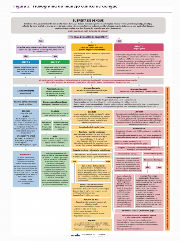 Dengue Fluxograma - 241106 - 131239 | PDF