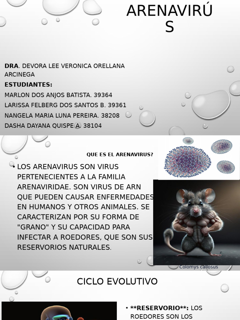 Qué es el Arenavirus y su impacto | PDF | Virus | Especialidades Medicas