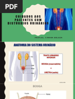 Polaquiúria e Disúria: Causas e Tratamentos | PDF | Infecção do trato ...