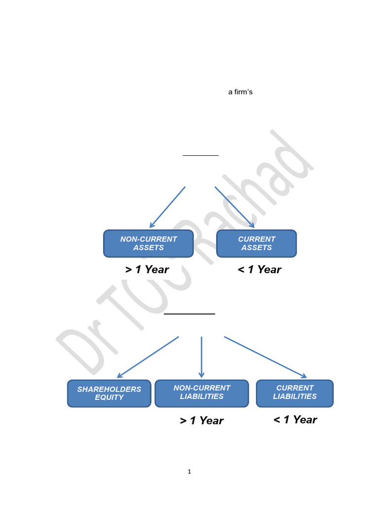 Chapter 4 - The Balance Sheet | PDF | Balance Sheet | Corporations