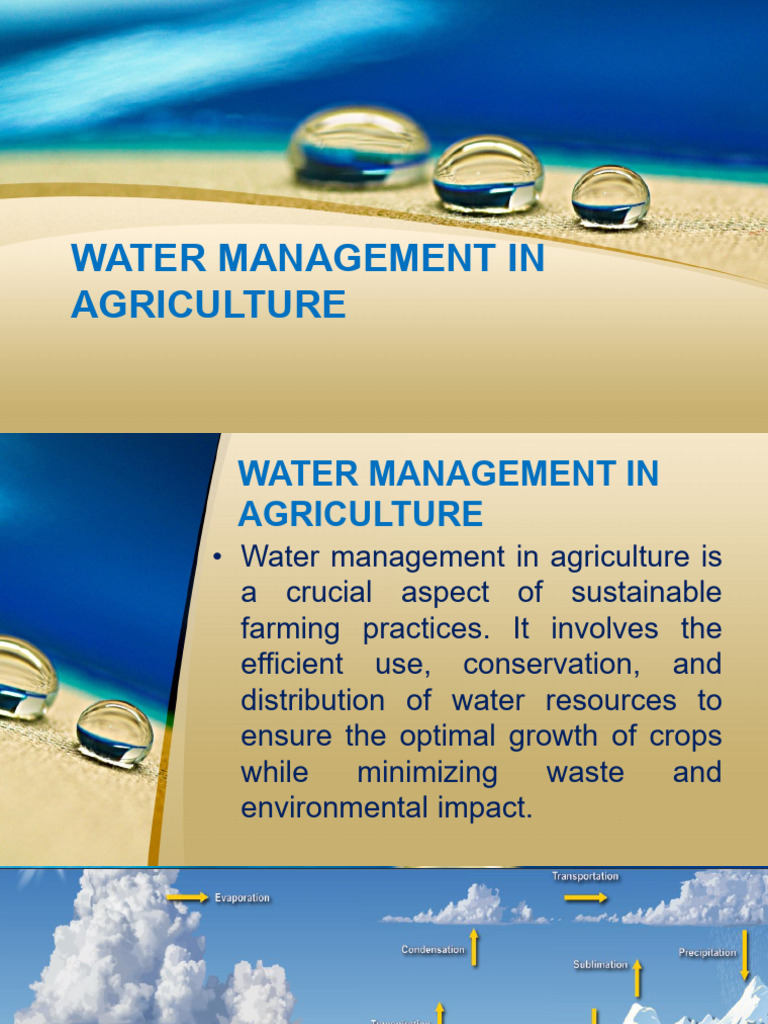 Water Management In Agriculture 2024 A Pdf Irrigation Agriculture