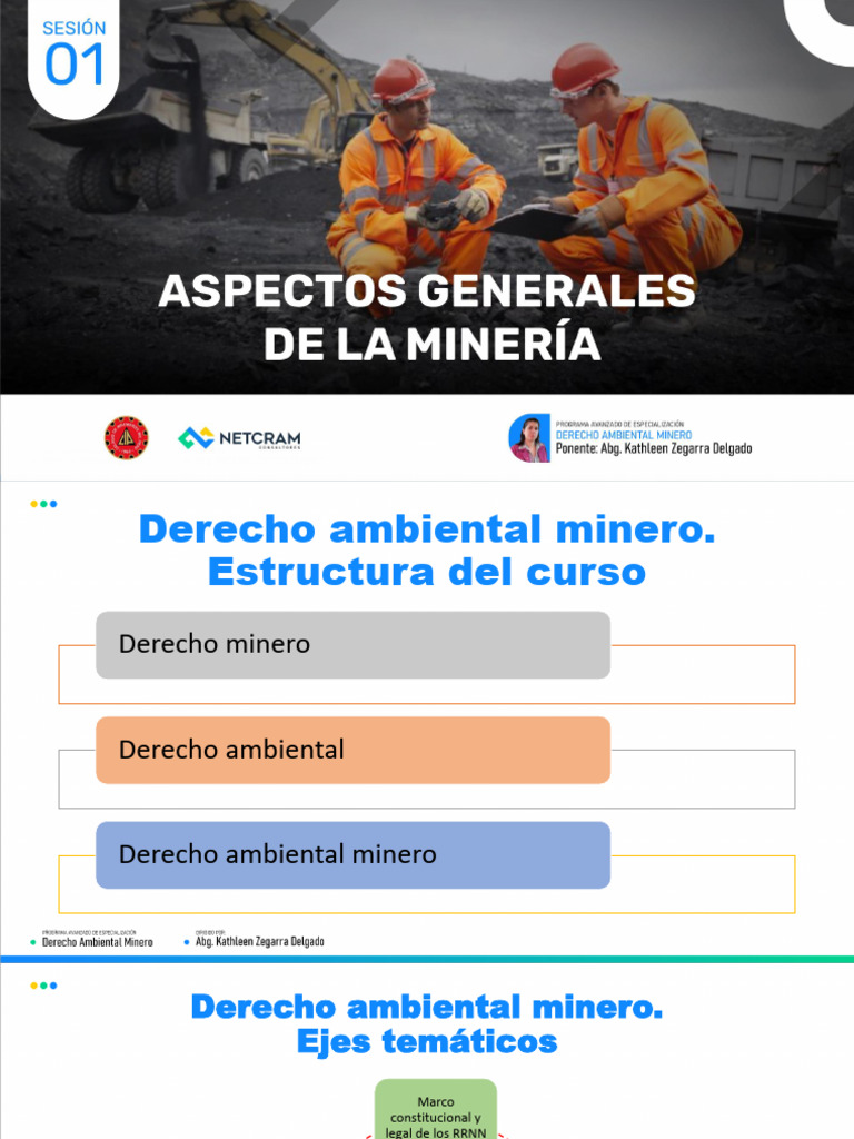 Sesion 01 - Derecho Ambiental Minero | PDF | Minería | Propiedad