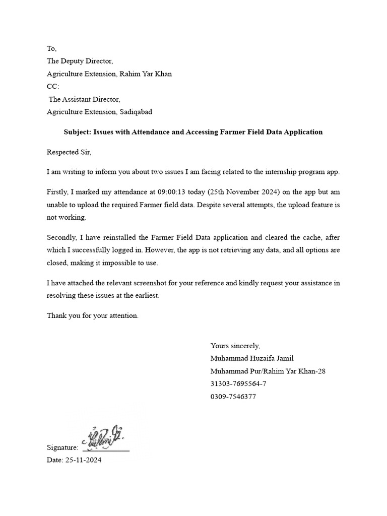 Internship App Issues Report | PDF