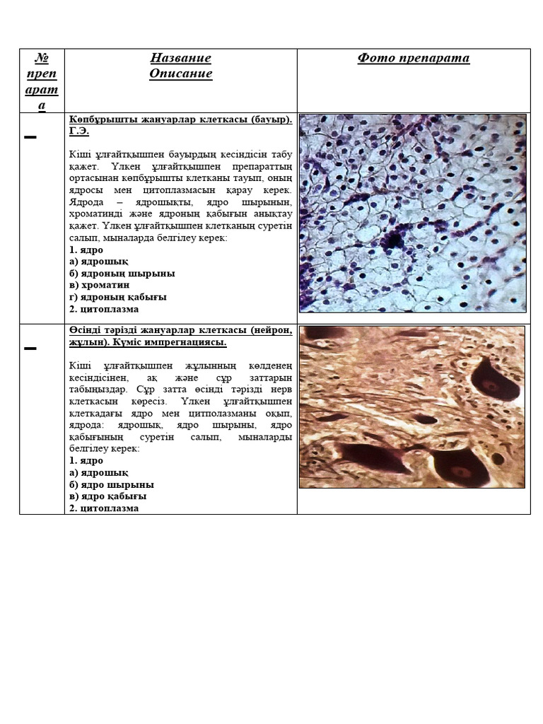 Жабайы орхидея фильмінен эротикалық фотолар