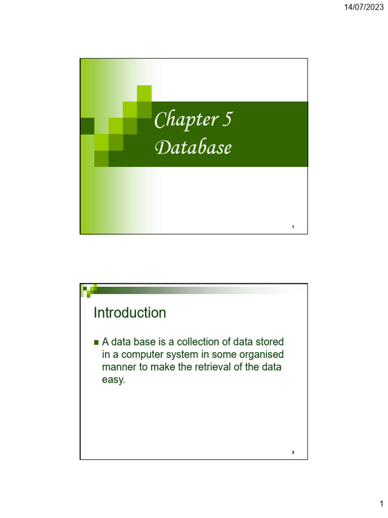 Databases - 085241 | PDF | Databases | Data Type