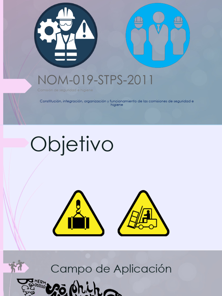 Nom 019 STPS 2011 | PDF