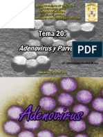 TEMA 20 Adenovirus y Parvovirus