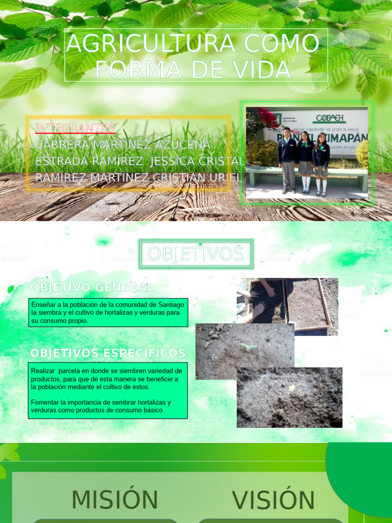 Agricultura Como Forma de Vida (Azucena) | PDF | Siembra | Agricultura