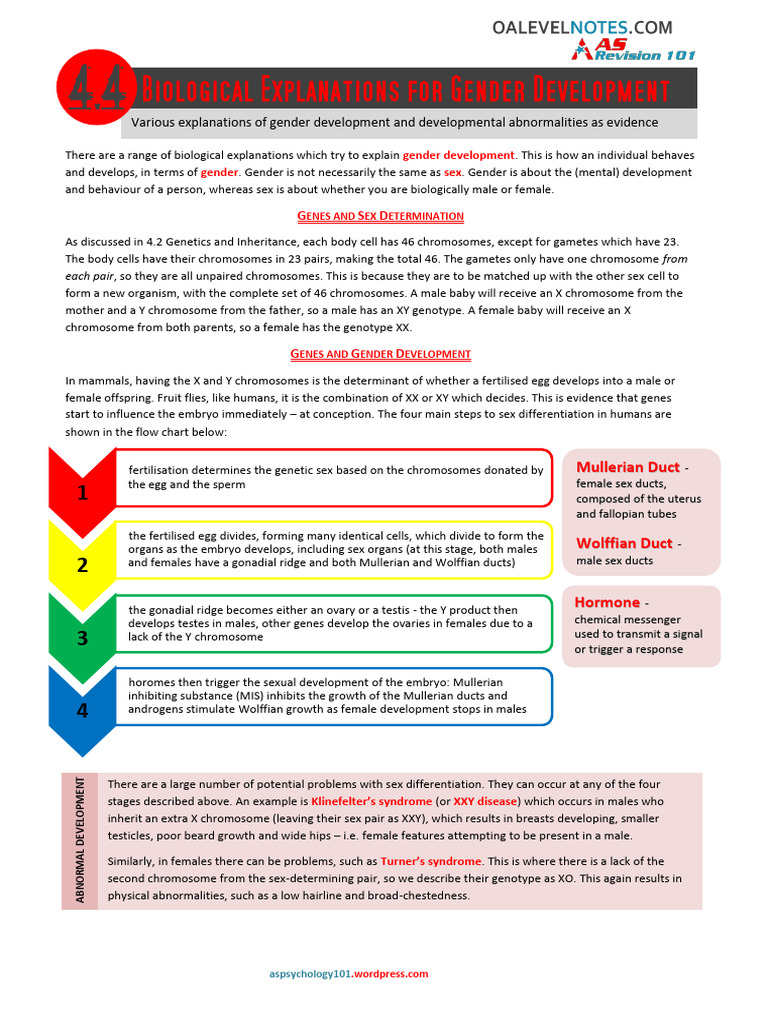Biological Factors in Gender Development | PDF | Sex | Adrenal Gland