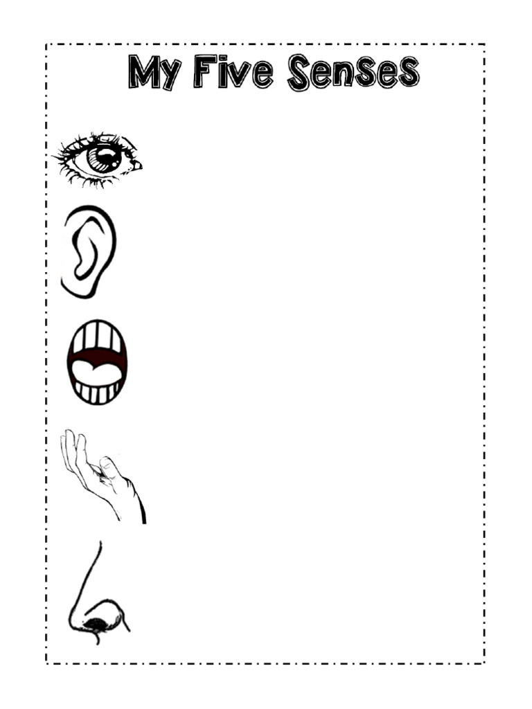 My 5 Senses | PDF