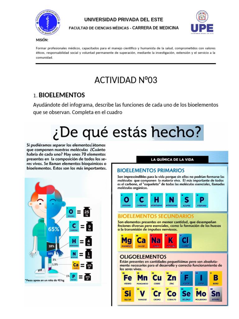 N°03.actividad Bioelementos - Vic | PDF | Relaciones personales ...