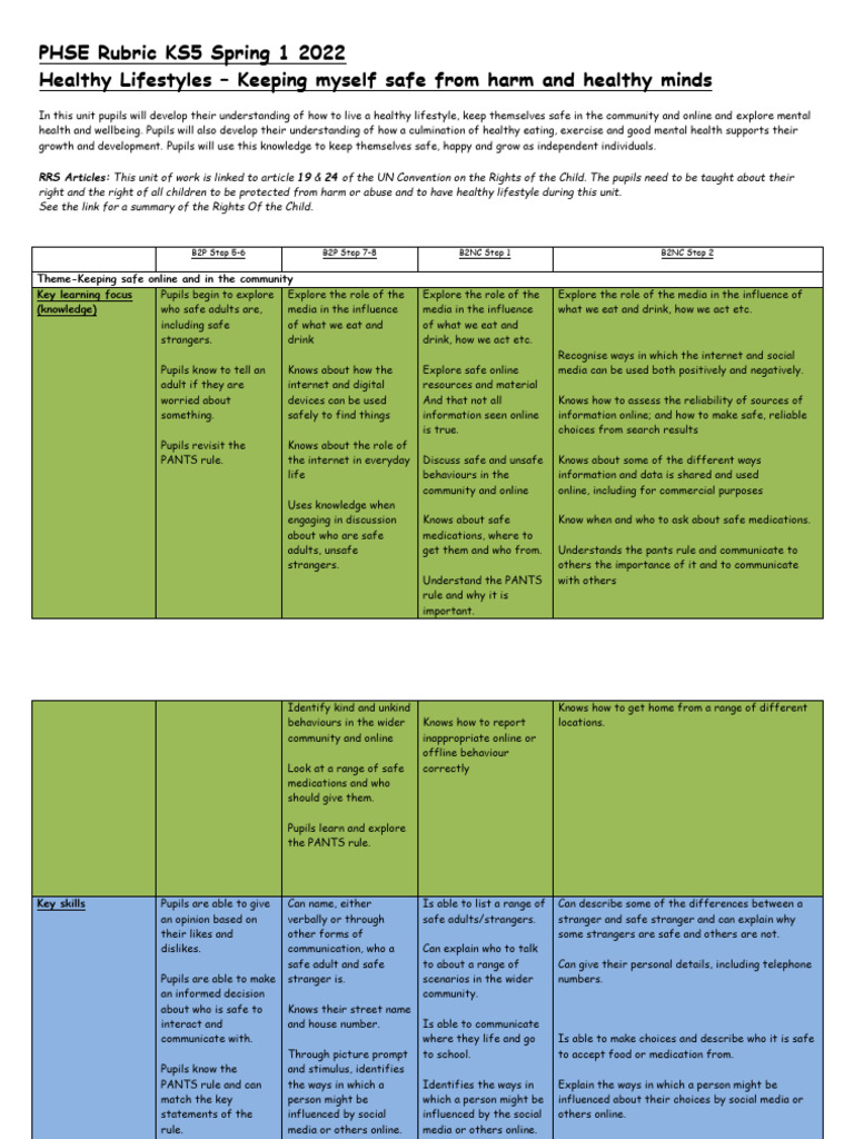 PSCHE Rubric 1 | PDF | Feeling | Thought