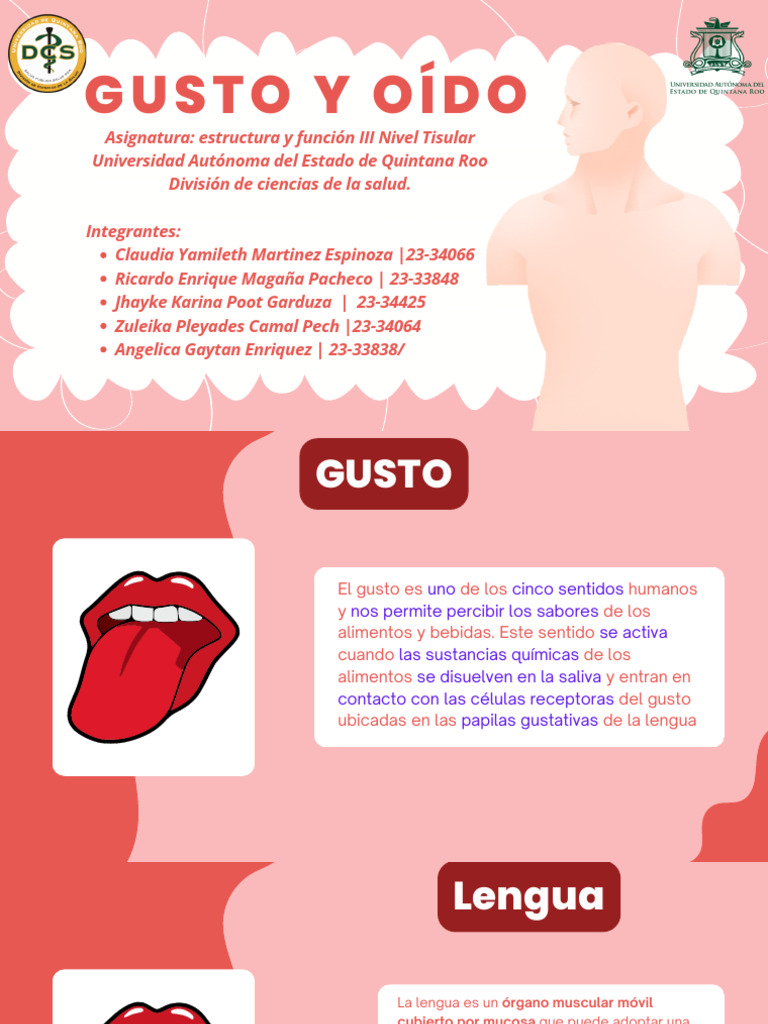 Gusto Y Oido Pdf Gusto Lengua