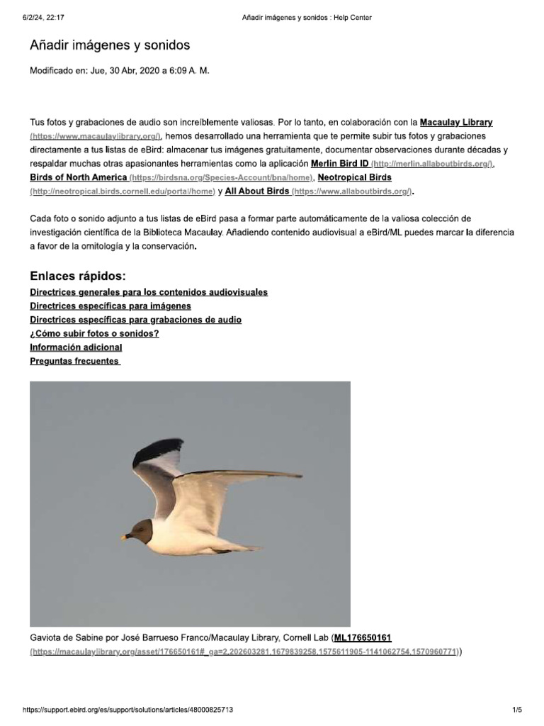 Añadir Imágenes y Sonidos Ebird | PDF