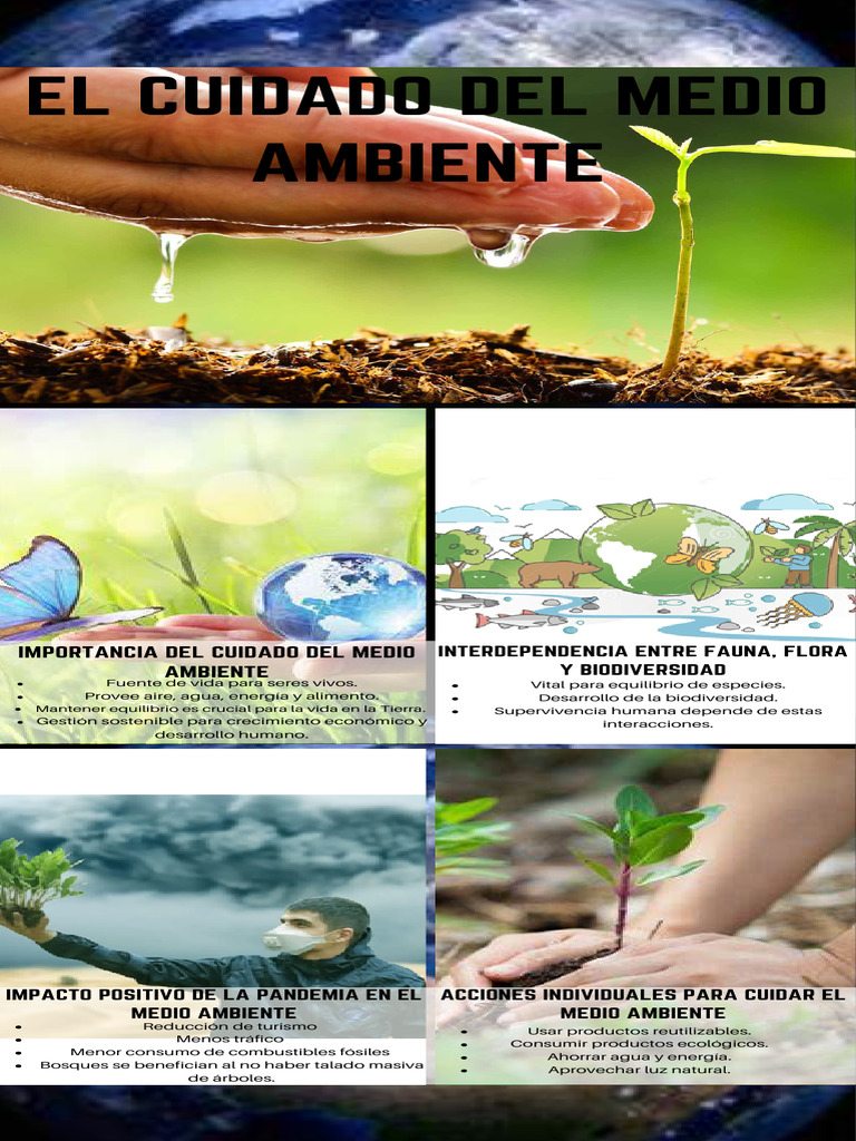 Cuidado Del Medio Ambiente | PDF