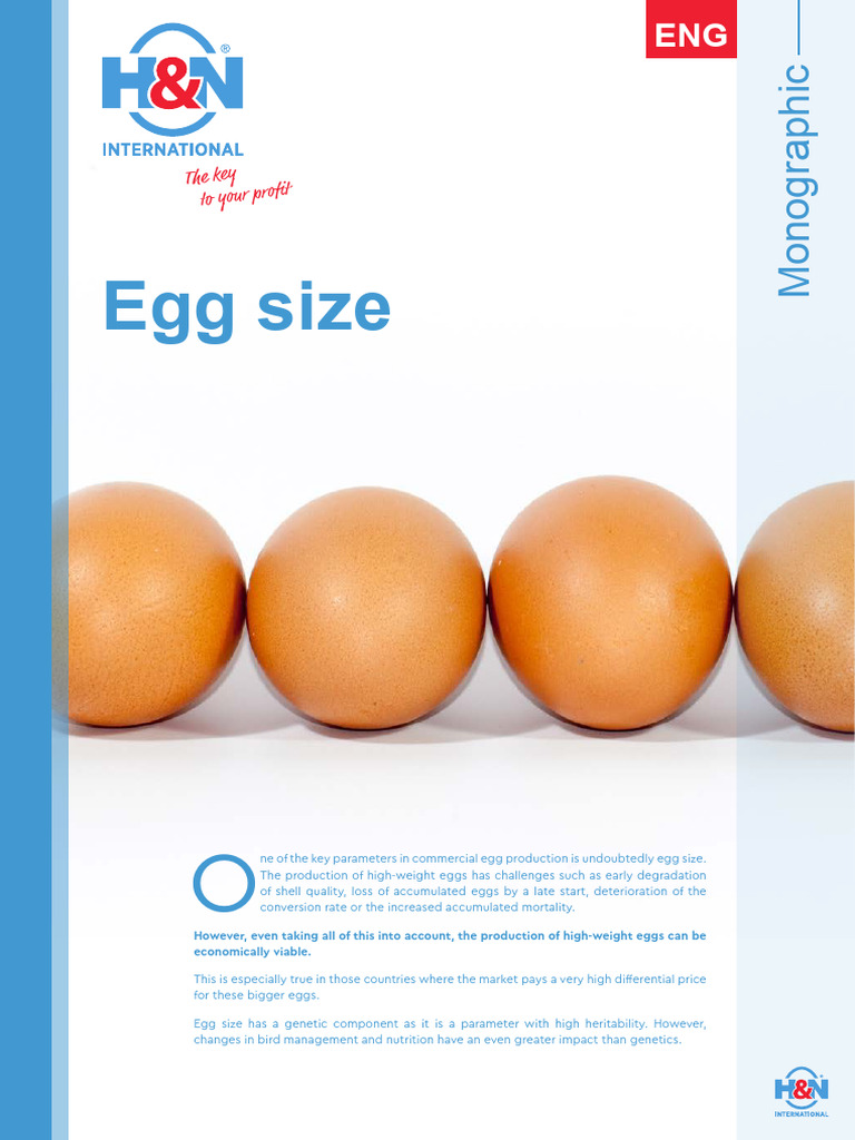 Optimizing Egg Size in Poultry Production | PDF | Birds | Chicken