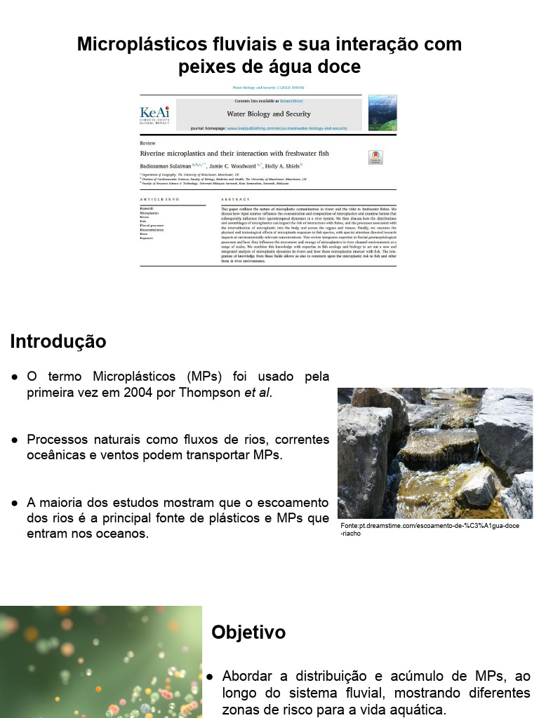 Impactos dos Microplásticos em Peixes | PDF