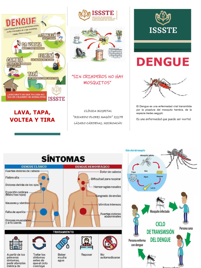 Prevención del Dengue en Michoacán | PDF