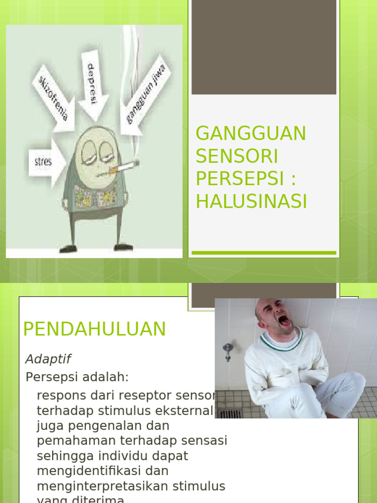 HALUSINASI | PDF