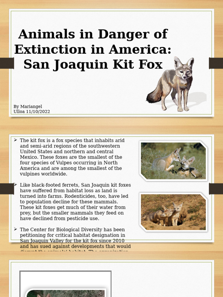 Animals in America in Danger of Extinction Science | PDF