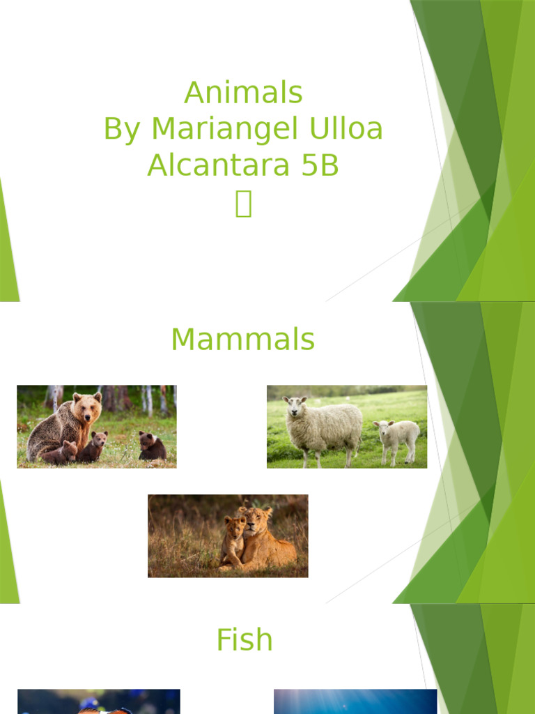 Animals Lesson 8 | PDF