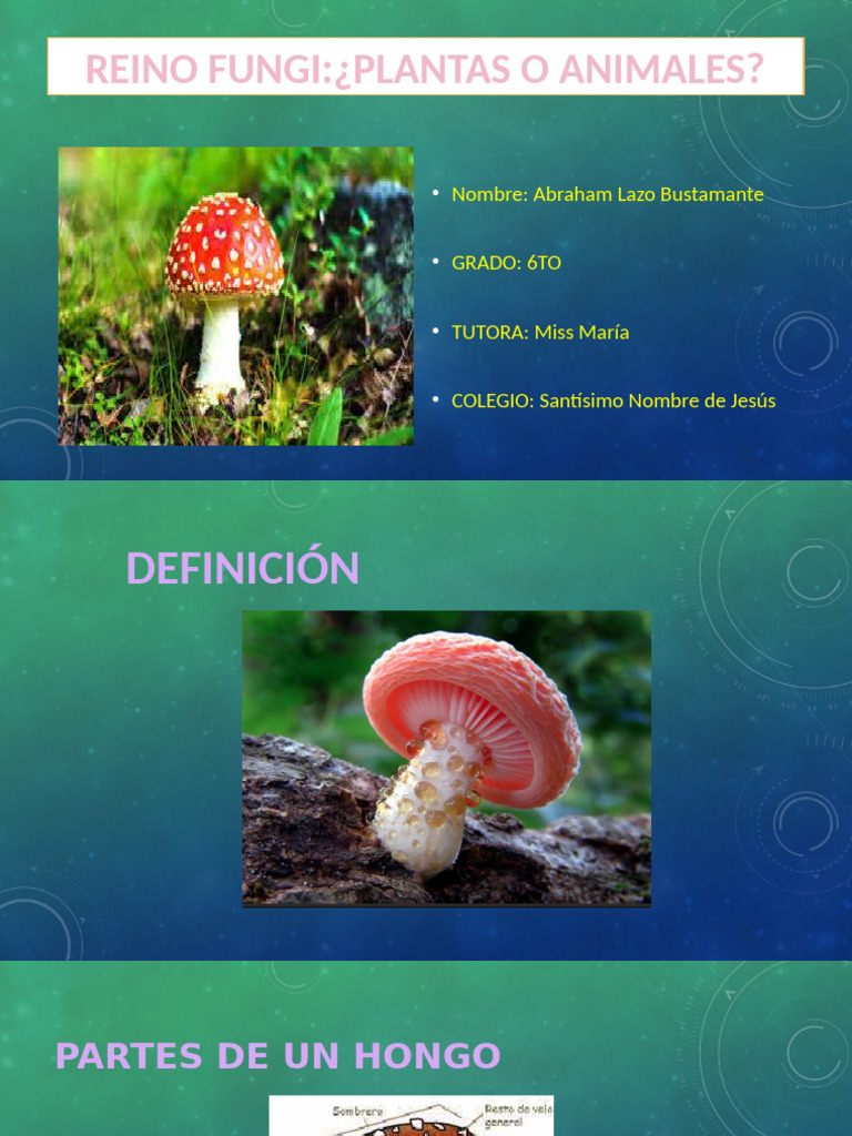 regi-n-fungi-pdf