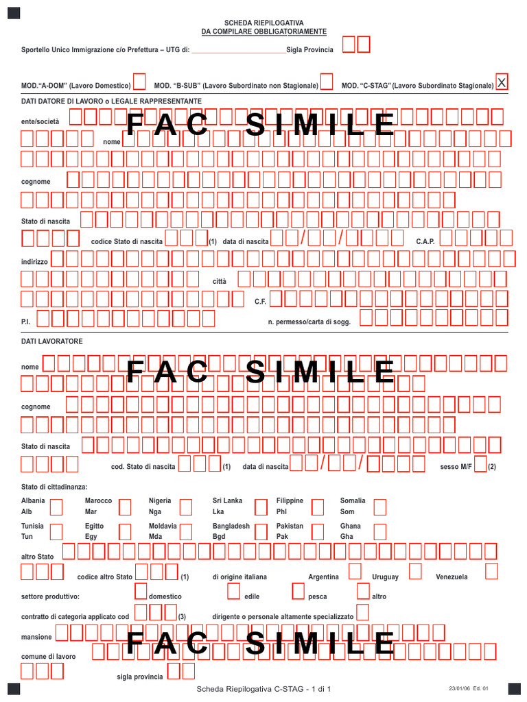 Fac Simile Modello C Stag | PDF