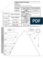 L Etagement Vegetal A La Montagne