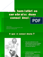 Dois Hemisférios Duas Consciências