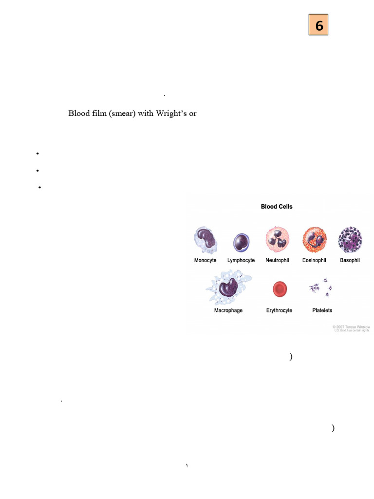 Differential Leucocyte Count Guide | PDF | White Blood Cell | Lymphocyte