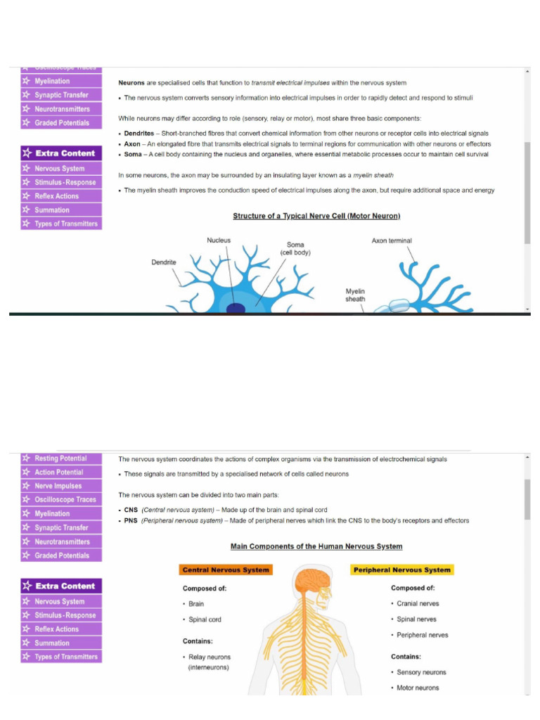 Biology: Control and Coordination | PDF