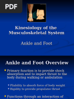 Foot Movements: Eversion, Inversion, and More | PDF | Foot | Human Leg