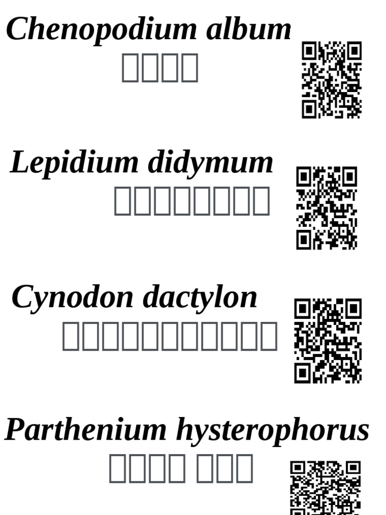 Breeds QR Codes | PDF