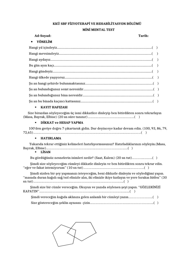Mi̇ni̇ Mental Test | PDF