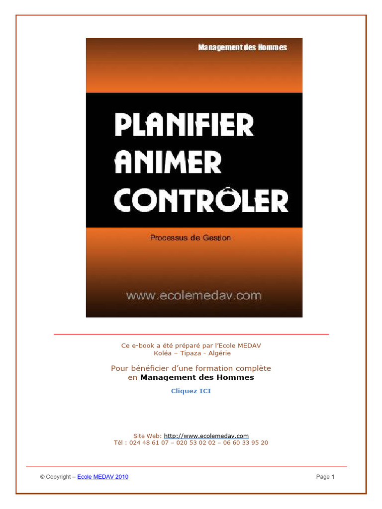 Planification en Management d'Entreprise | PDF | Motivation | Motivant