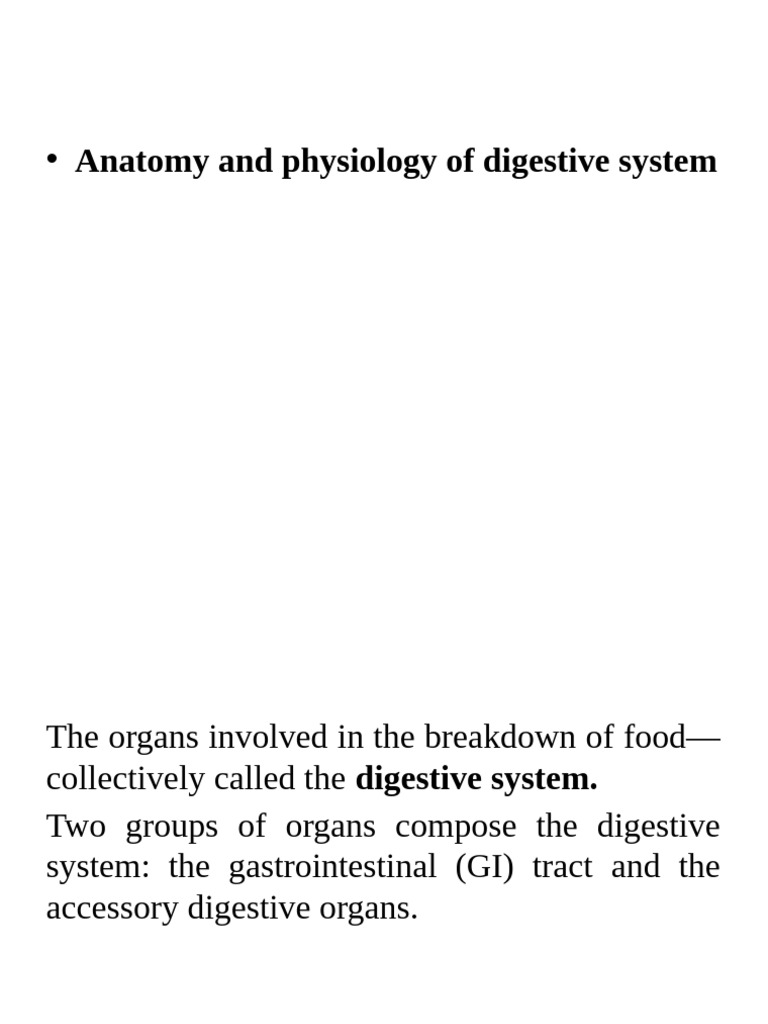 The Digestive System | PDF