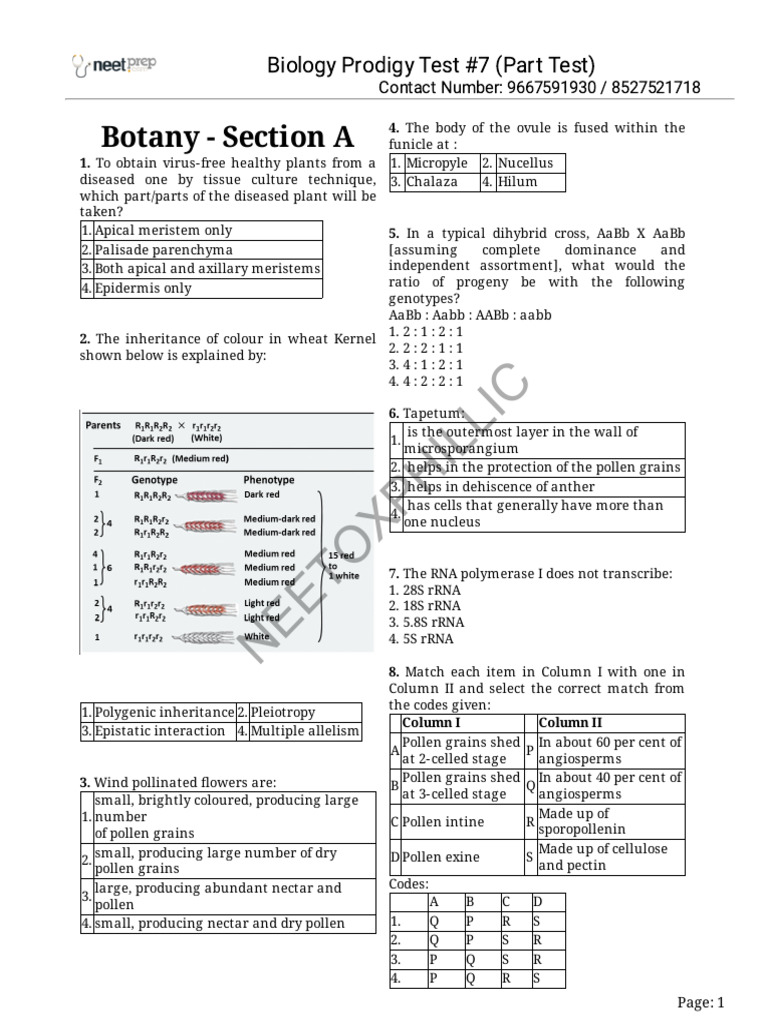 Biology Prodigy Test #7 (Part Test) | PDF | Molecular Cloning ...