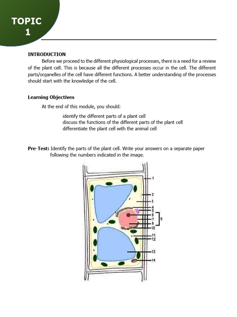Inbound 3846224221031169754 | PDF | Cell (Biology) | Endoplasmic Reticulum