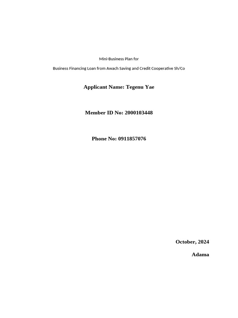 Loan Proposal for Business Expansion | PDF | Marketing Strategy | Expense