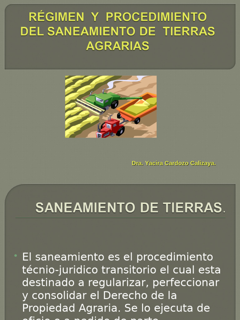 Saneamiento de Tierras | PDF | Propiedad | Anulación