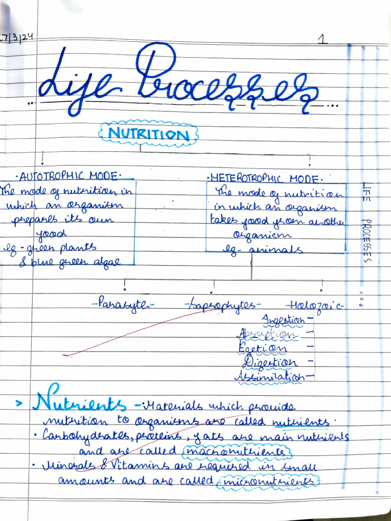 Bio | PDF