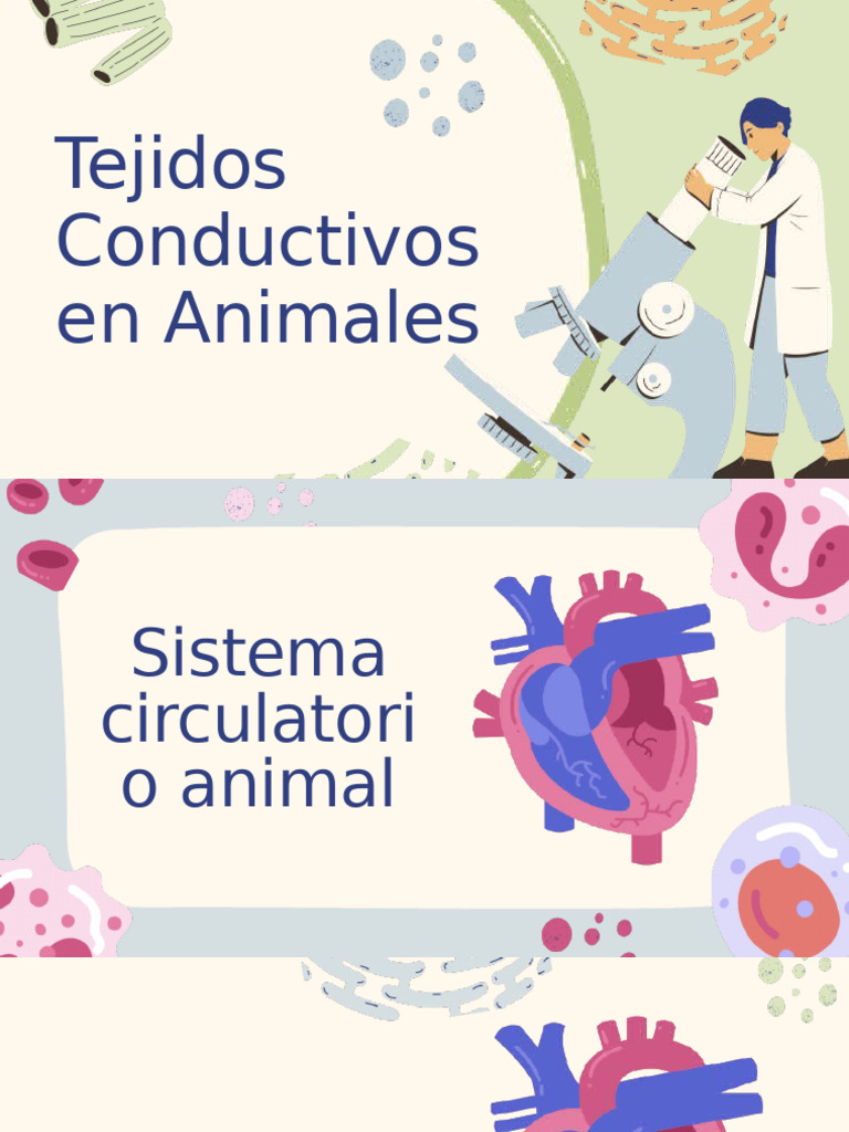 Sistemas Circulatorios y Nerviosos en Animales | PDF | Sistema ...