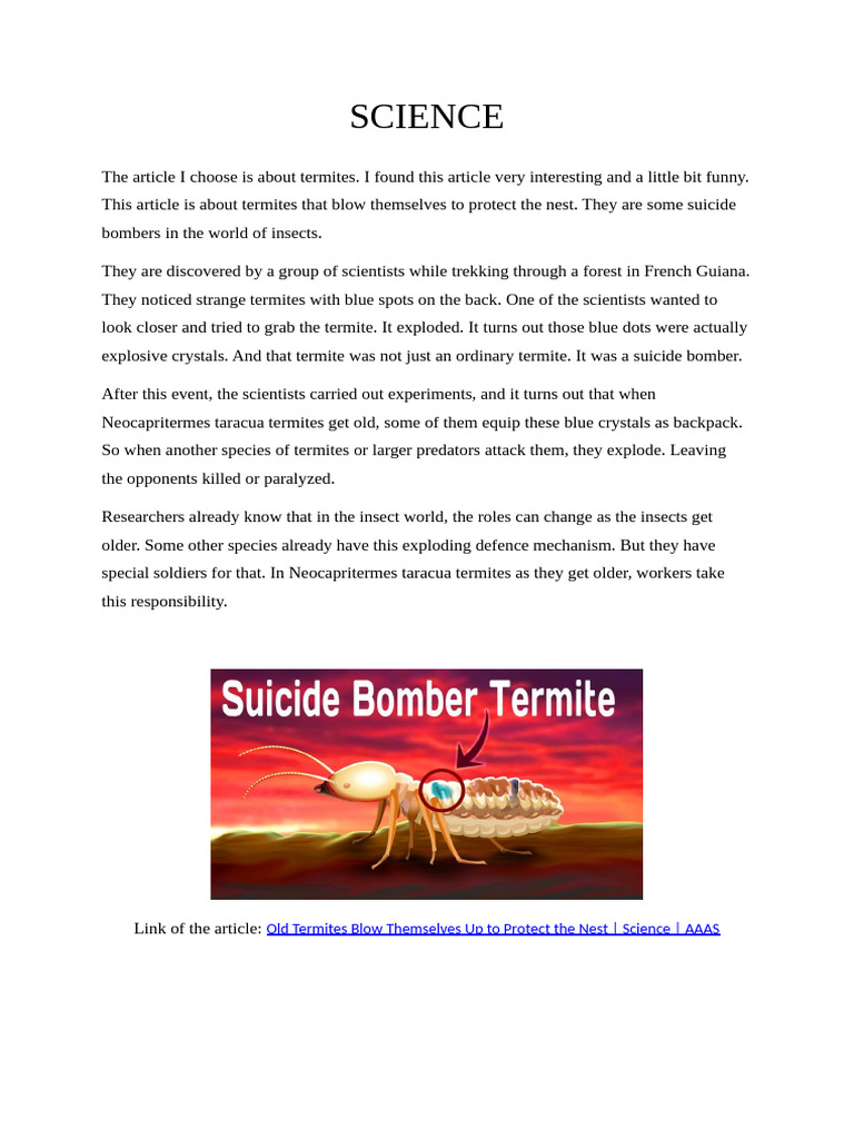 Termites' Explosive Defense Mechanism | PDF
