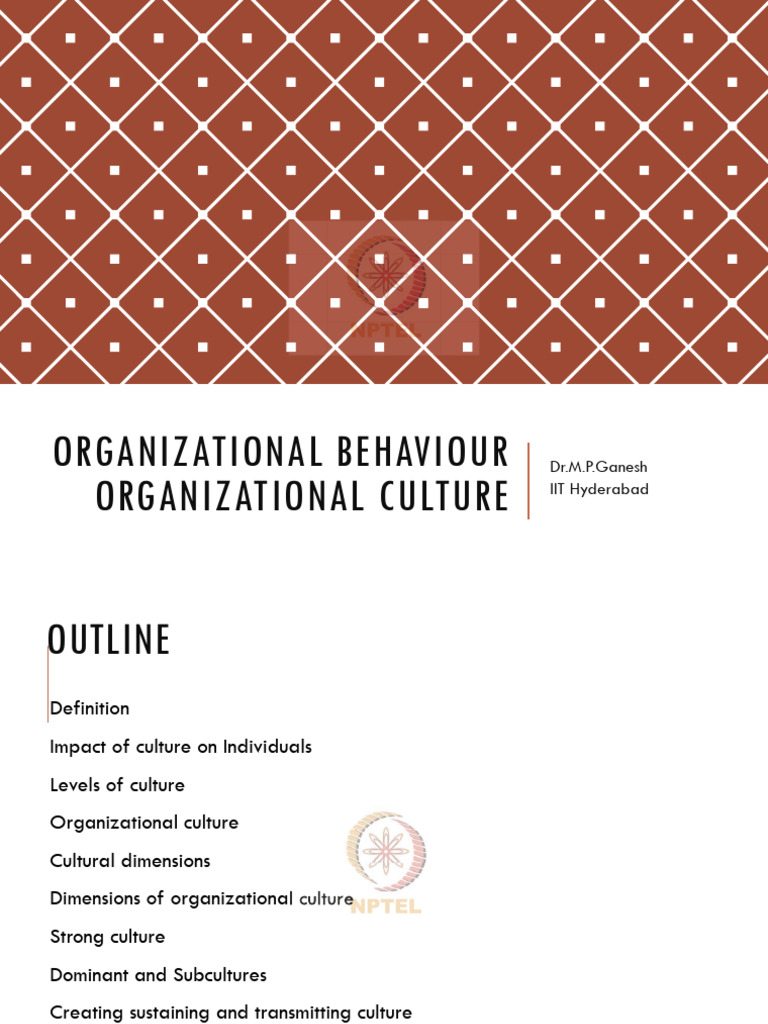 Understanding Organizational Culture Dynamics | PDF | Organizational ...
