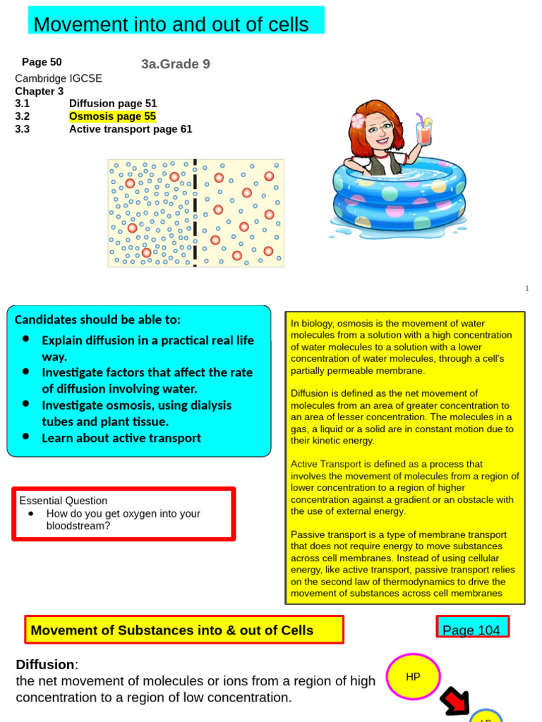 3a Hannah | PDF | Osmosis | Diffusion