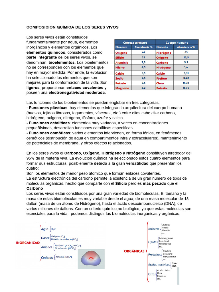 2 BIOQUIMICA - Composición Química de Los Seres Vivos | PDF | Solución ...