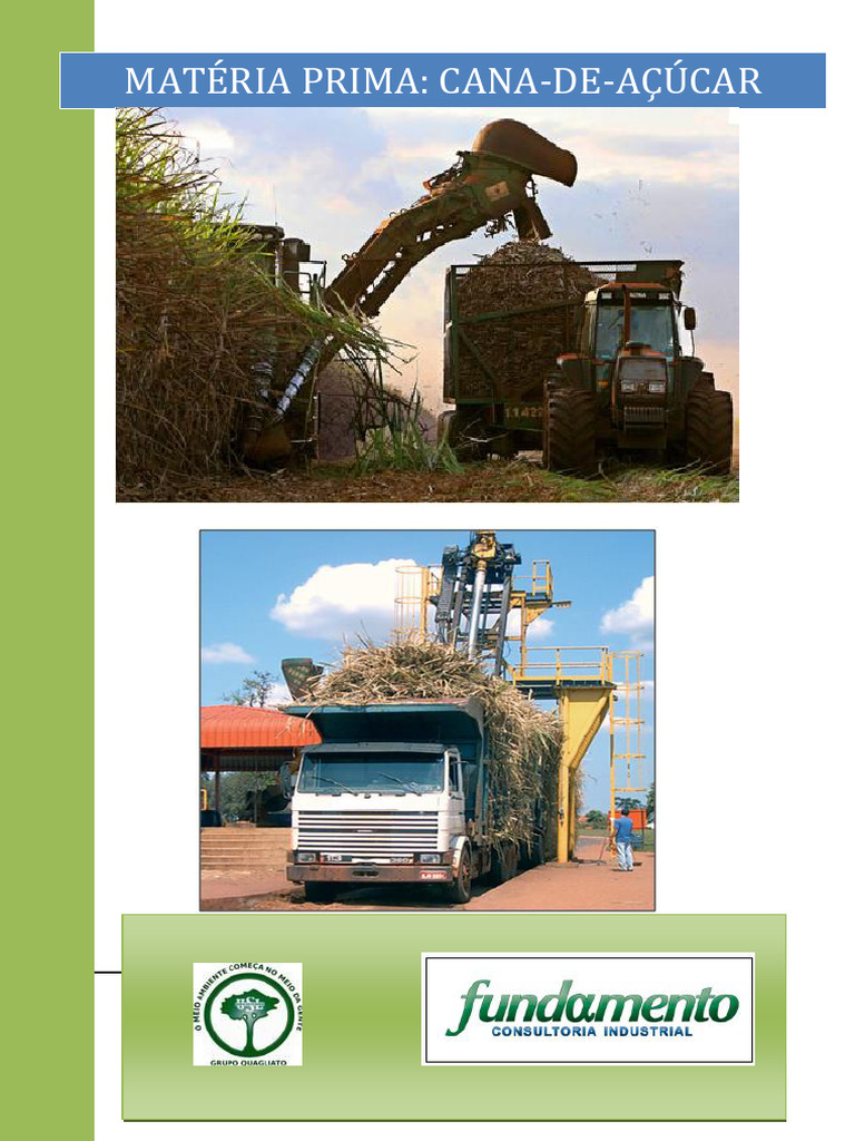 000-Matéria Prima Cana de Açúcar | PDF | Cana de açúcar | Açúcar