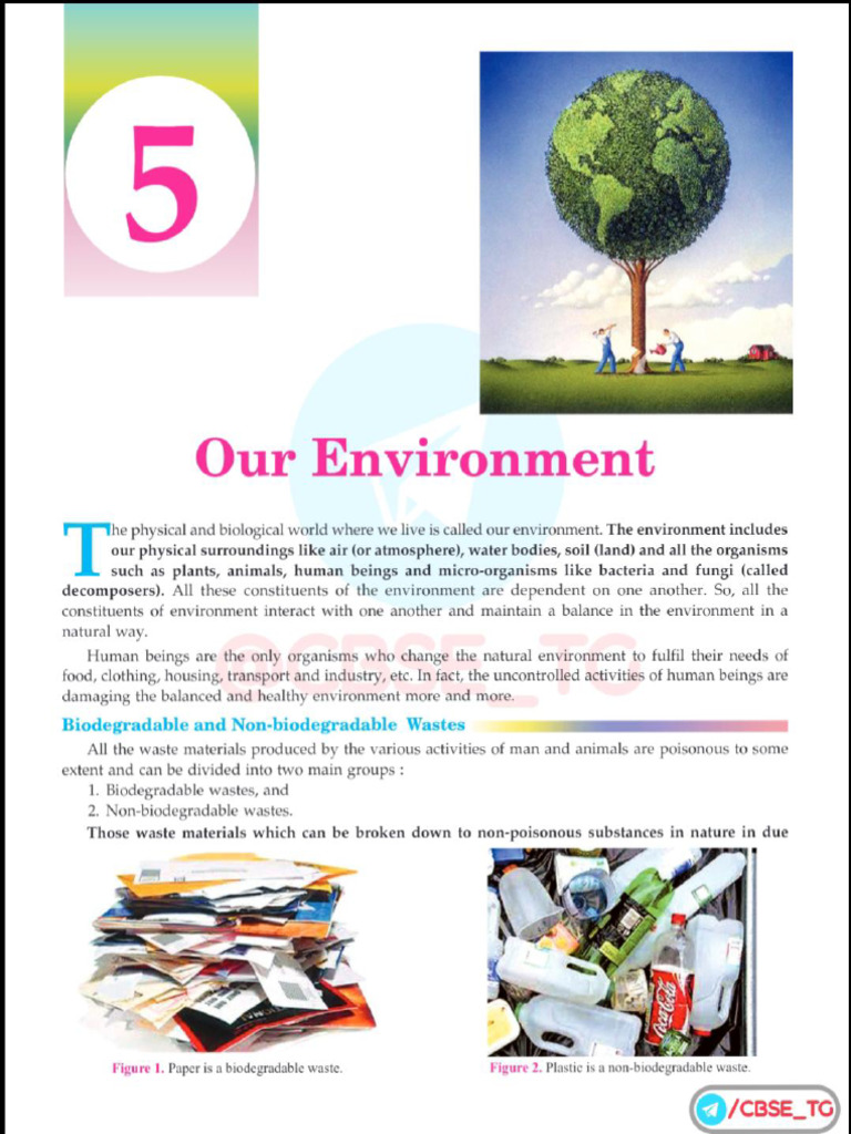 Biology class 10 ch 5 our environment pdf