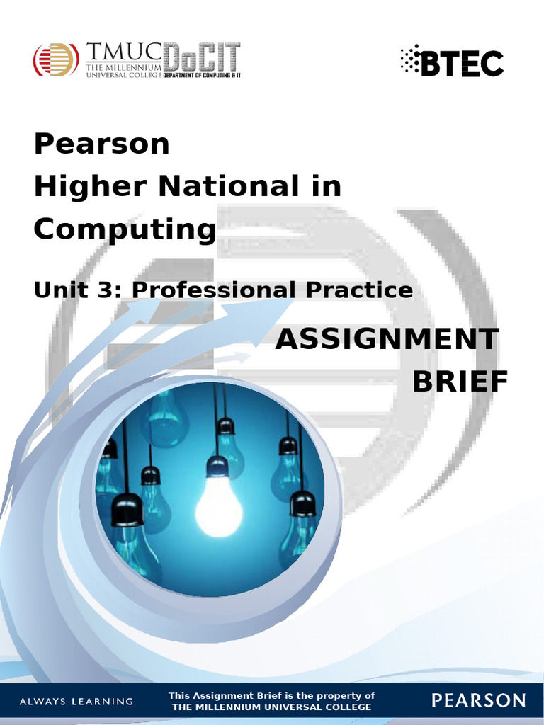 Professional Practices in Computing Assignment | PDF | Project ...