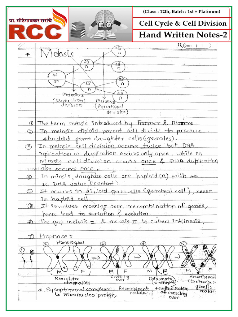 Cell Cycle and Cell Division - 2 | PDF
